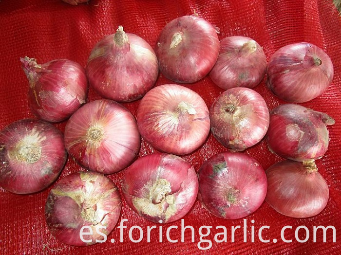 Red Onion